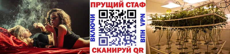 Виды наркоты Карачев COCAIN  АМФ  МАРИХУАНА  ГАШИШ 