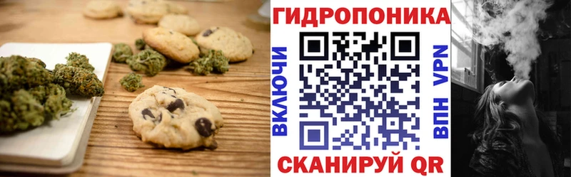 хочу наркоту  Карачев  мориарти формула  Еда ТГК марихуана 