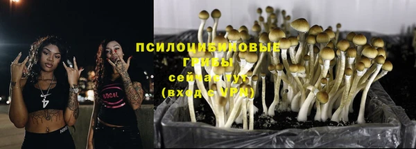тгк Володарск
