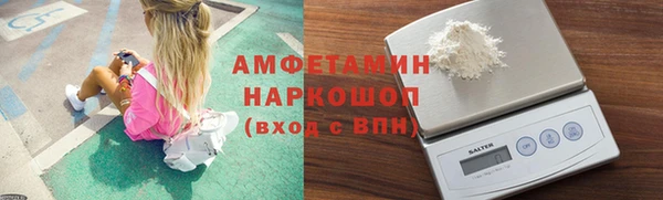 прущие грибы Волосово