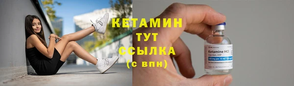 прущие грибы Волосово