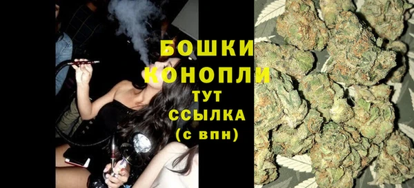 прущие грибы Волосово