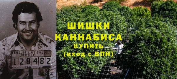 прущие грибы Волосово
