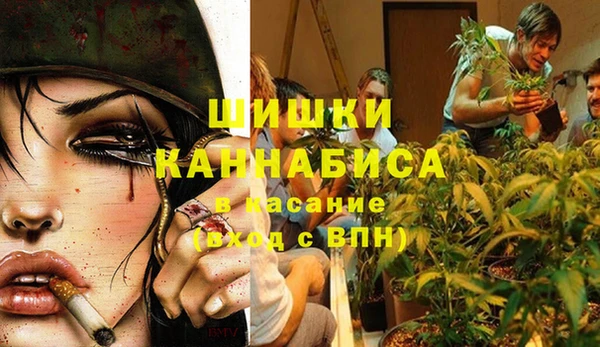 тгк Володарск