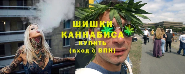 прущие грибы Волосово