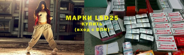 прущие грибы Волосово