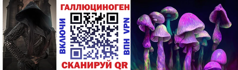 Галлюциногенные грибы Psilocybine cubensis Карачев